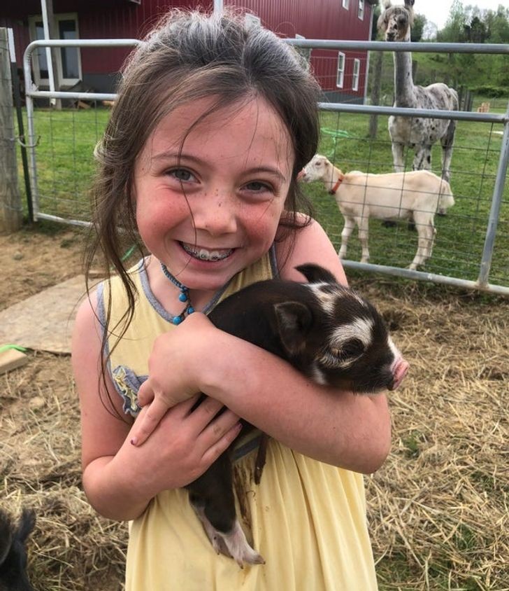 Dit meisje is zo opgewonden om het nieuwe varkentje op haar boerderij te knuffelen dat haar blijdschap aanstekelijk is!