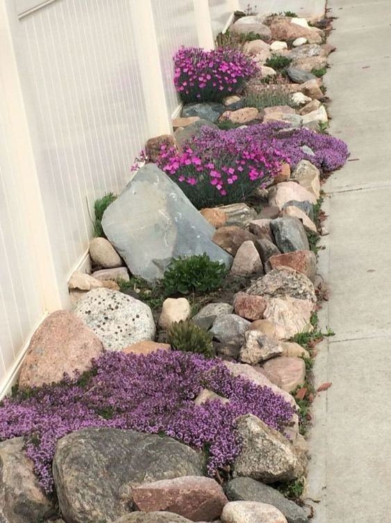 1. Les roches de différentes tailles constituent une décoration naturelle pour remplir les parterres de fleurs, adoucie par certaines variétés de plantes vivaces