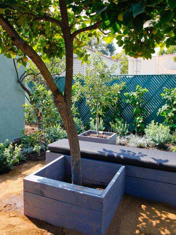8. L'idea semplice per valorizzare l'albero e creare un posto dove sedersi