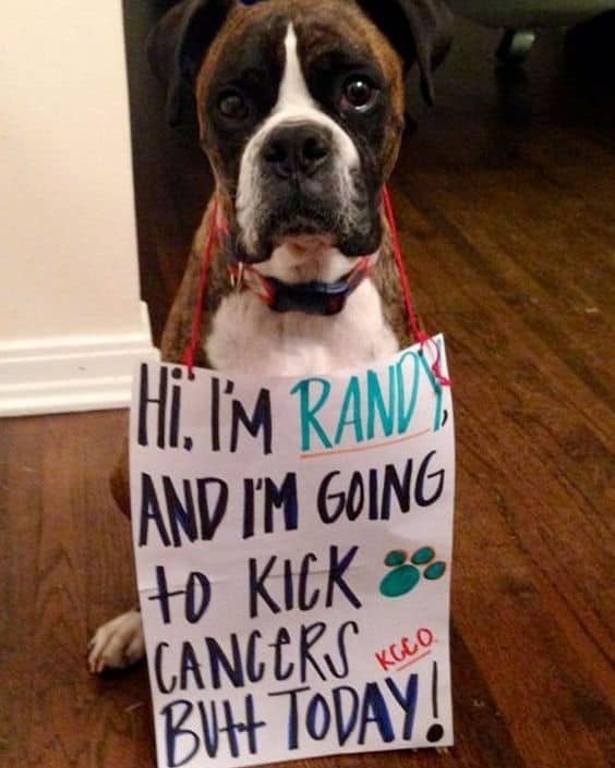 Hi, I'm Randy and I'm going to kick cancer's butt today!