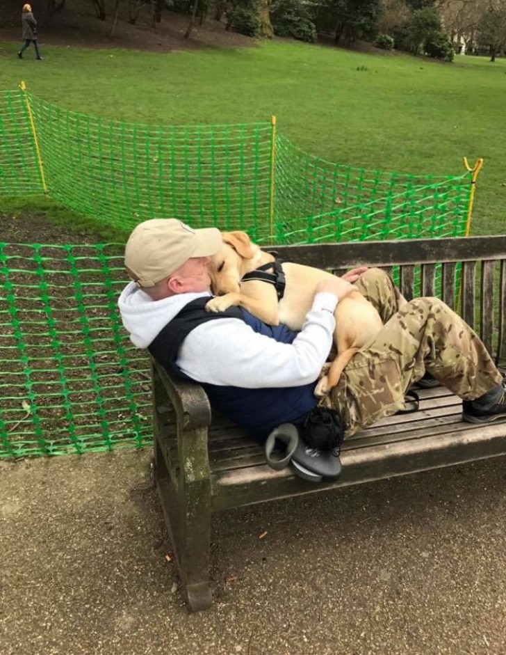 Hund und Herrchen ruhen sich auf einer Bank aus und schlafen umarmt ein: wie zärtlich sie sind!