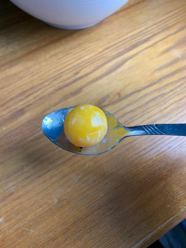 1. Un jaune d'œuf parfaitement rond