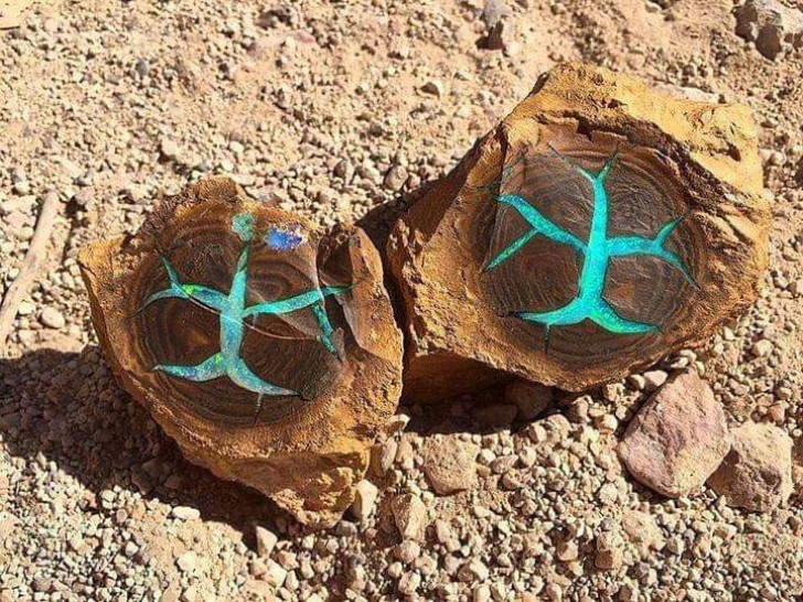 11. La couleur turquoise et les formes que l'on trouve sous deux simples pierres...