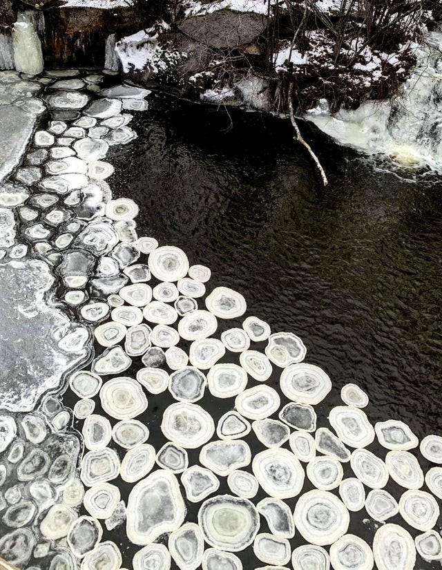 Dischi di ghiaccio che si sono formati naturalmente in un lago in Usa
