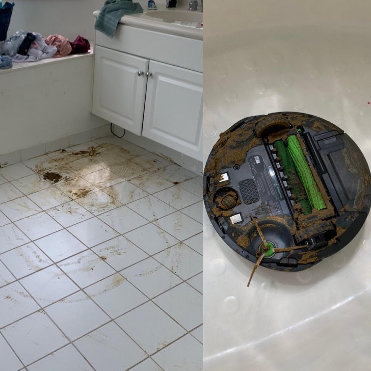9: "Mein neuer Roomba muss heute in die Hundetoilette gestolpert sein... und hat dann weiter das ganze Haus "geputzt".