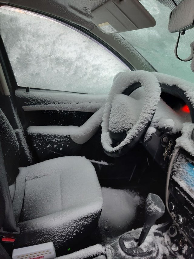 12. Quando ti dimentichi di chiudere il finestrino dell'auto in pieno inverno..