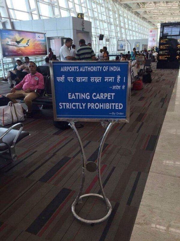 11. "È assolutamente proibito mangiare il tappeto!"