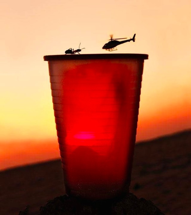 Quando sul ciglio di un bicchiere di plastica la sfida della prospettiva è tra una formica e... un elicottero!