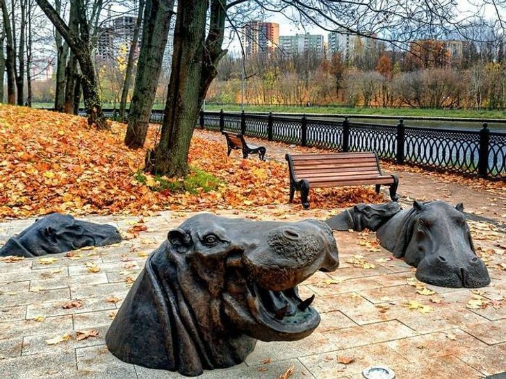 1. Des sièges spéciaux en forme d'hippopotame... ou de simples sculptures qui rendent le paysage encore plus évocateur...