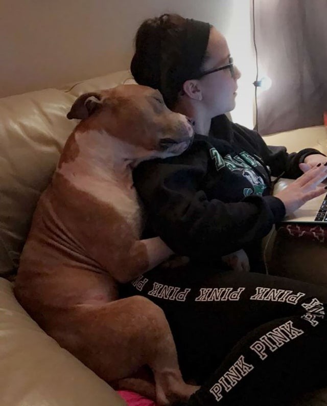 This newly adopted dog can't stop hugging his new mistress