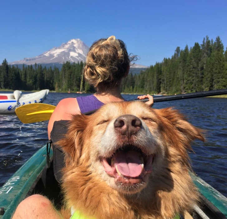 Years ago I adopted this old dog: here is an image of happiness taken during his "vacation"!
