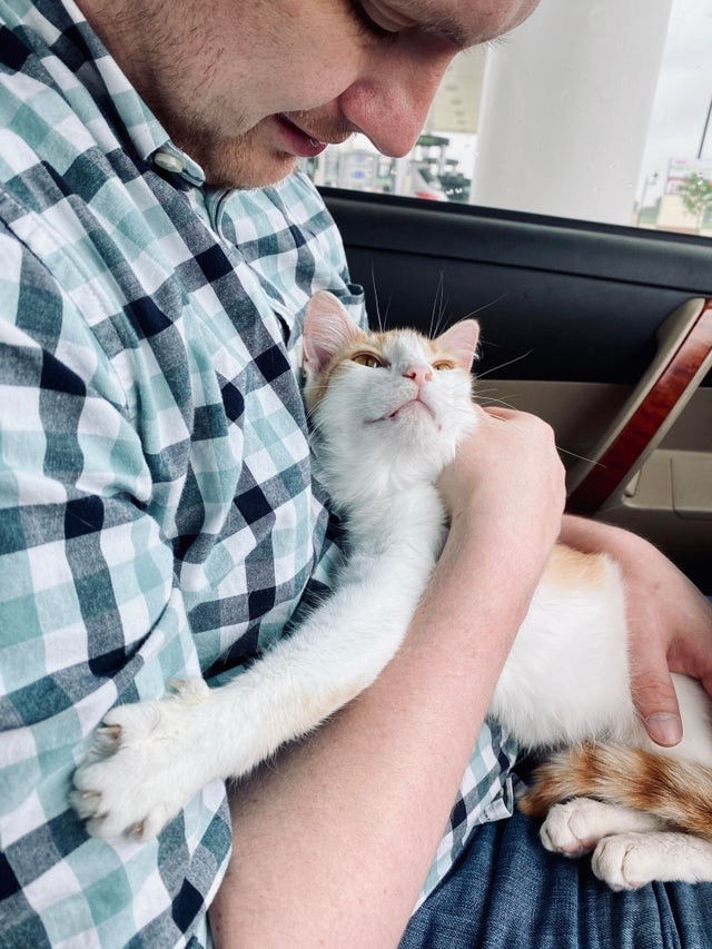 My first ever adopted cat ... it can't stop hugging me!