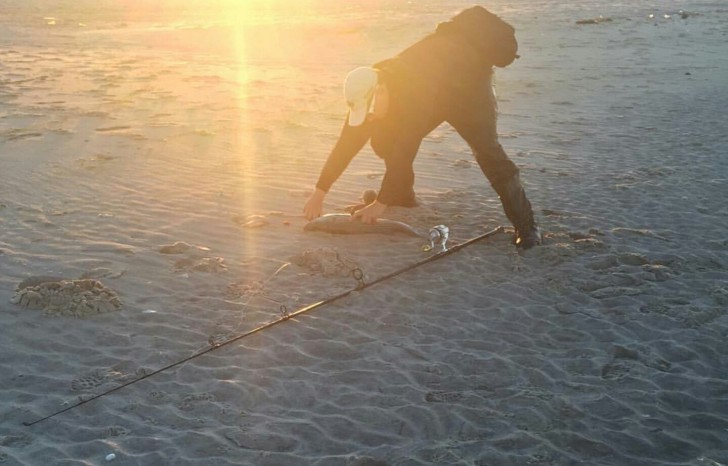 Wie lange hat es gedauert, bis Sie herausgefunden haben, dass er kein Gorilla am Strand ist?