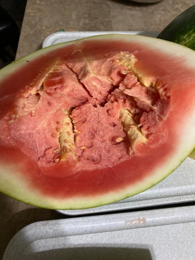 9. Als ich meine Wassermelone zerschnitt, bemerkte ich diese deutlicheren und härteren Formationen im Inneren: Was ist das?