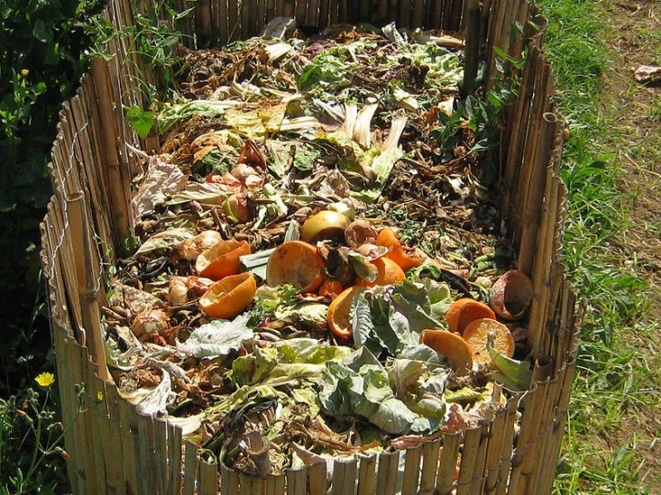 5. Usate i rifiuti organici della cucina per creare compost