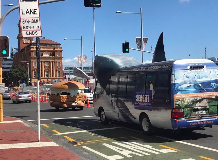 Un bus à la poursuite... de requins !