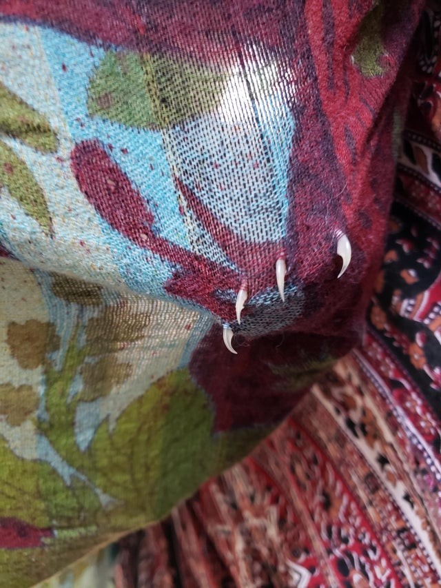 Quand mon chat grimpe sur le drap recouvrant le canapé...