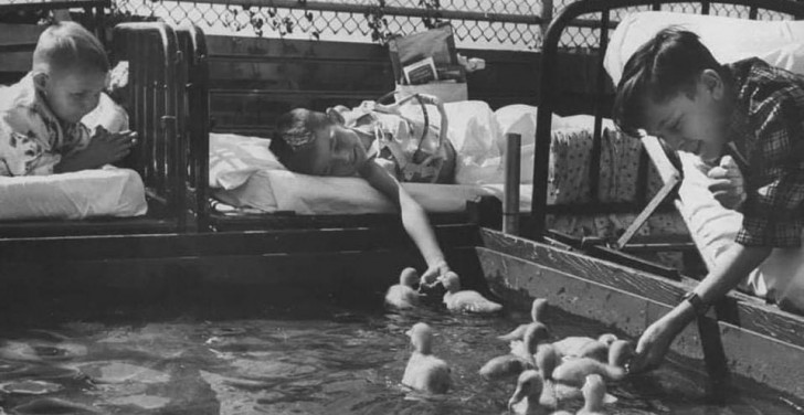 Krankenhauskinder werden mit kleinen Enten im Wasser unterhalten.
