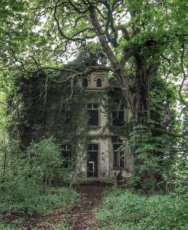 5. Eine Villa in Deutschland scheint sich der wachsenden Vegetation zu ergeben