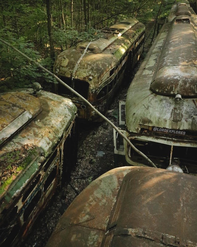 9. Verlassene Wagons im Wald, USA