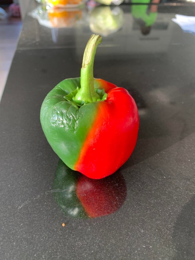 Un peperone metà verde e metà rosso...incredibile!