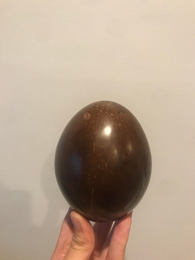 Questo è l'aspetto di una noce di cocco se la si pulisce tutta della sua superficie "pelosa": sembra un uovo di cioccolato!