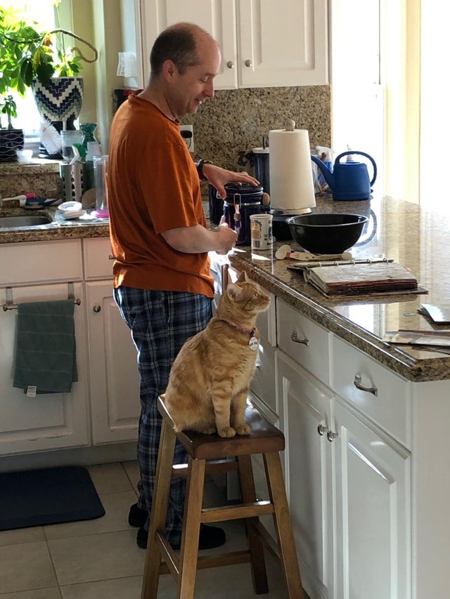 Mio padre è una persona molto solitaria ed indipendente: ora non può non fare la colazione con il suo amico felino!