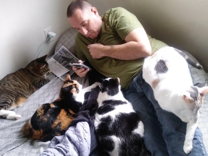 Mio marito non era assolutamente un amante dei gatti: adesso, i nostri felini domestici non possono fare a meno di lui!