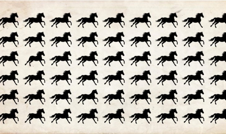 Among these horses there are 5 which are different from the others: can you find them in less than 30 seconds?