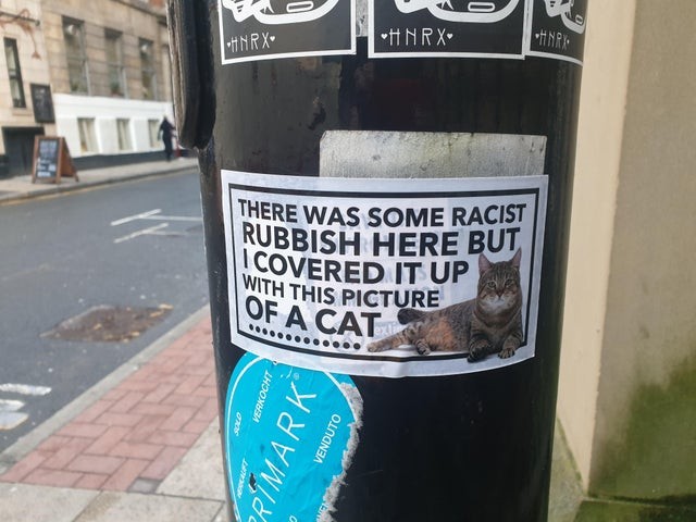 "This pole had racists and offensive writing on it, so I decided to cover it up with a sticker with a cat on it!"