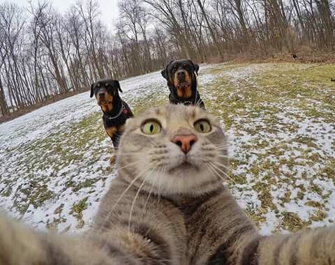 Que azar, última selfie antes de fugir!