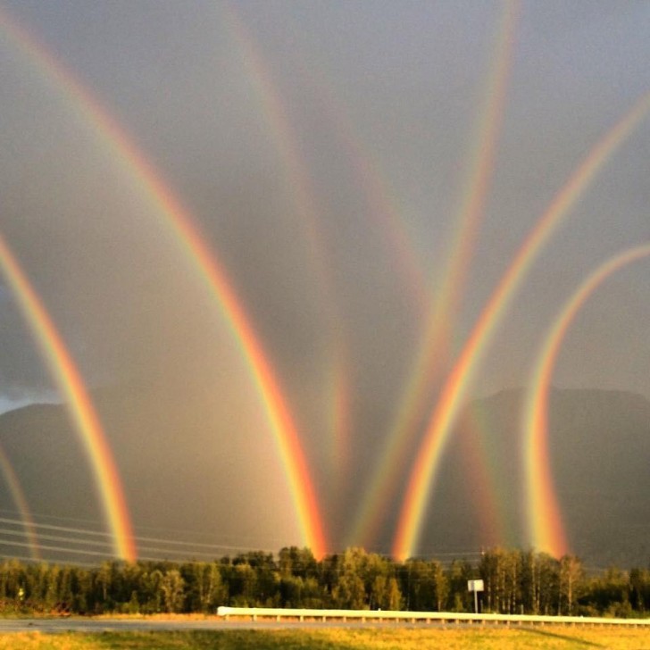 16. Quando alzi gli occhi al cielo e vedi... 8 arcobaleni tutti insieme!