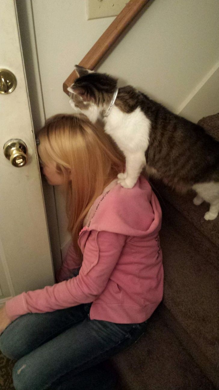 When the cat is the same as the owner ...