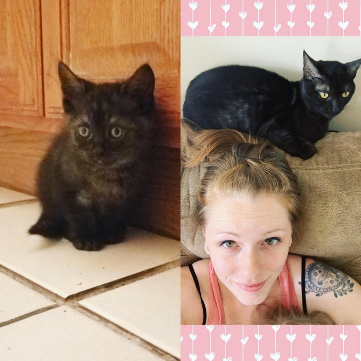 Binx before and after... isn't he the cutest?!?
