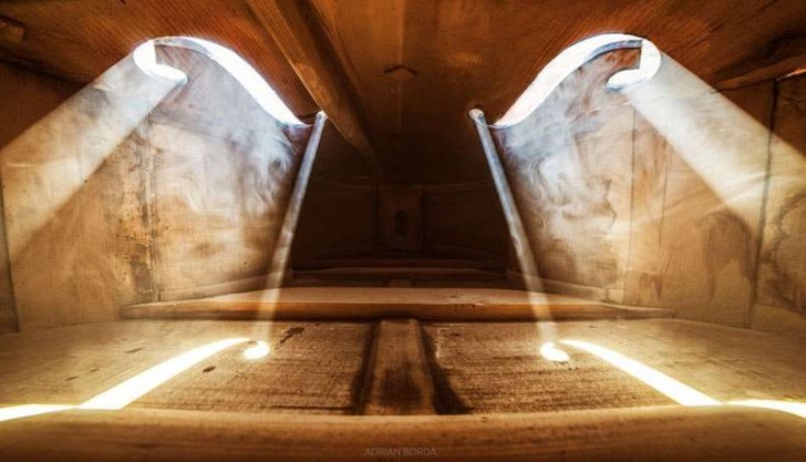 La lumière qui brille à travers les fentes de l'instrument de musique ressemble à des fenêtres stylisées qui s'ouvrent sur un monde de poussière...