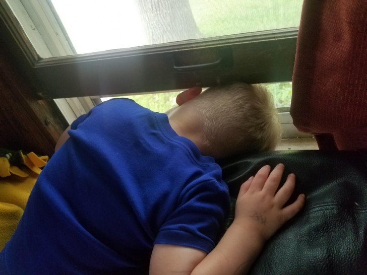 My son got stuck in the window because he was saying hello to a squirrel .... bah!