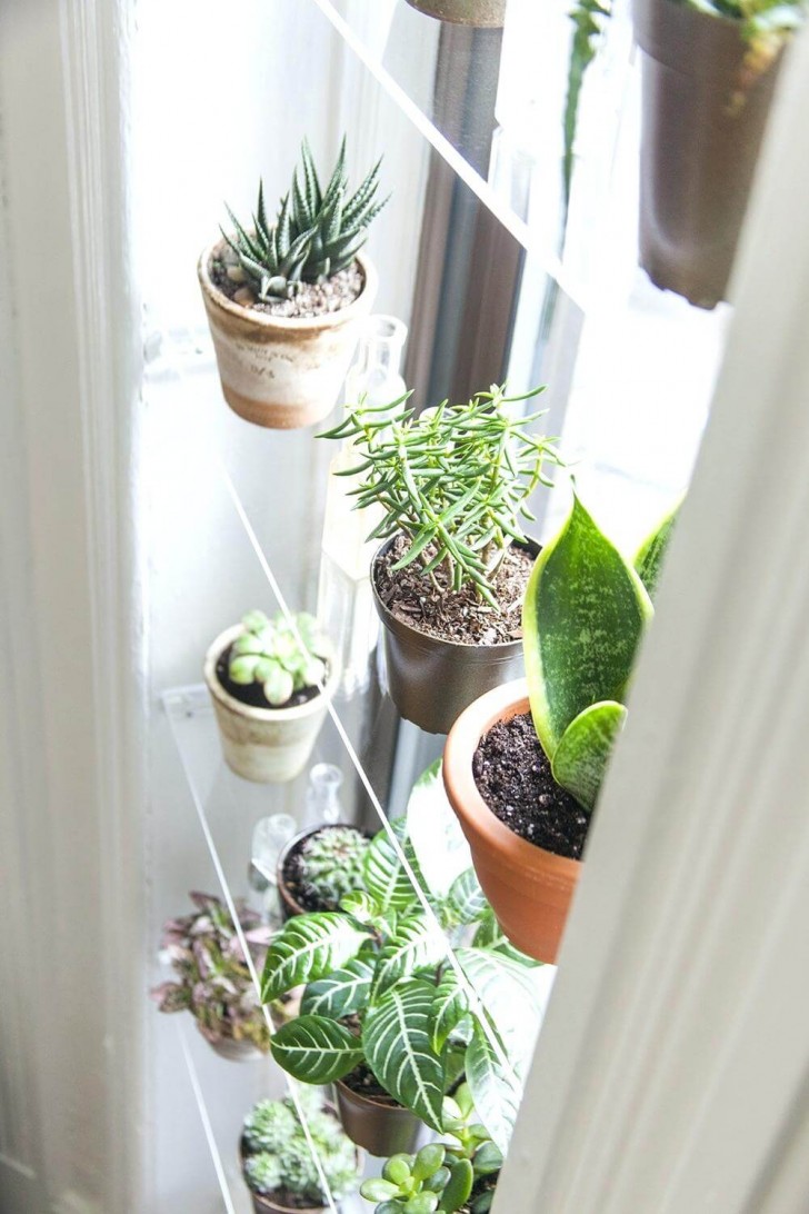 10. Se avete una finestra che aprite poco spesso, sfruttate la luce per sistemare piante su mensole di vetro, praticamente invisibili