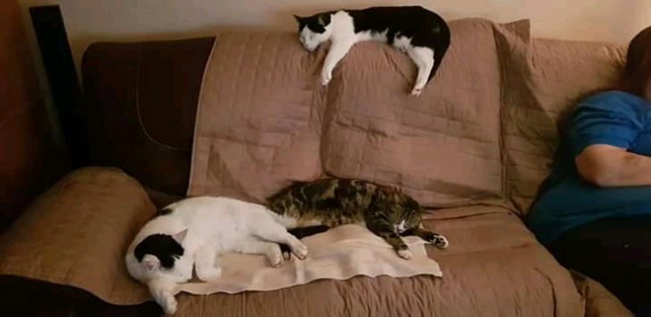 Who sleeps above, who sleeps below!