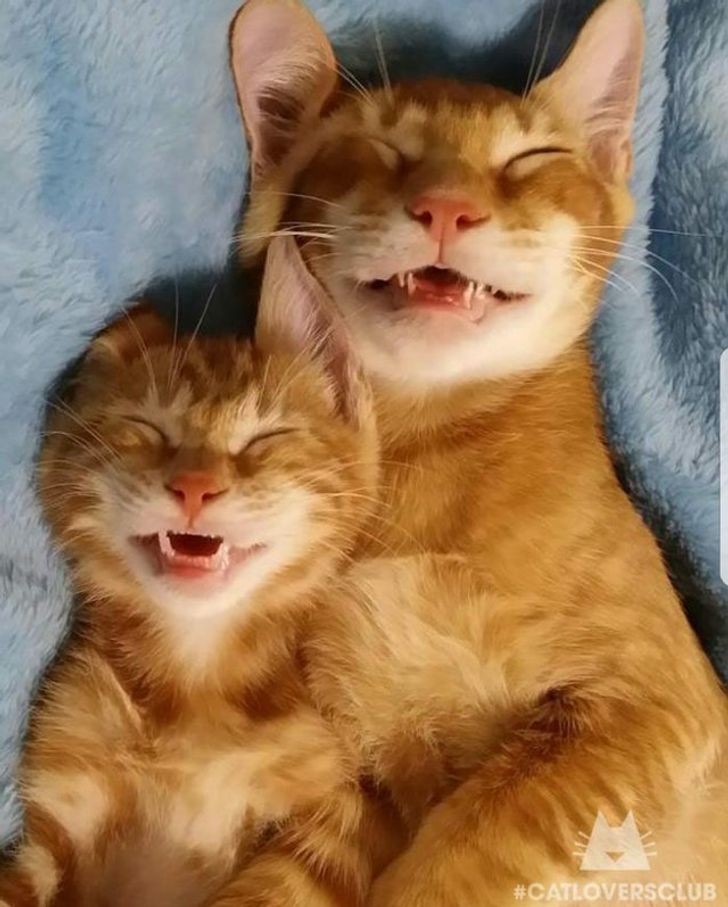 Say cheese!