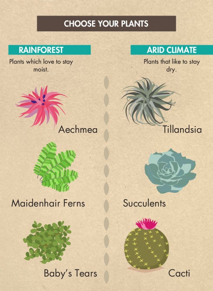 Les types de plantes