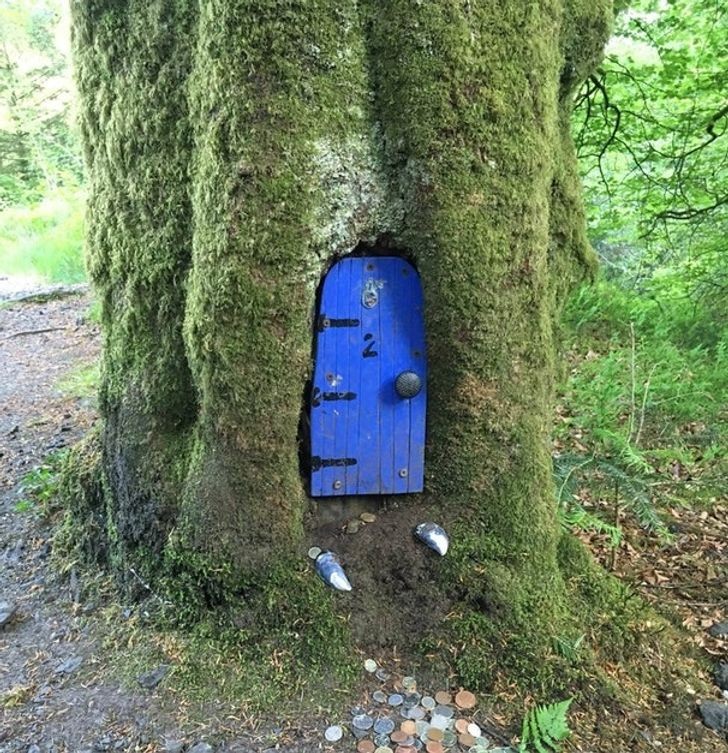2. Étranges et colorées petites portes dans les arbres d'Écosse. Ce sont les "portes des fées", où on laisse de l'argent et des cadeaux pour les fées des bois !
