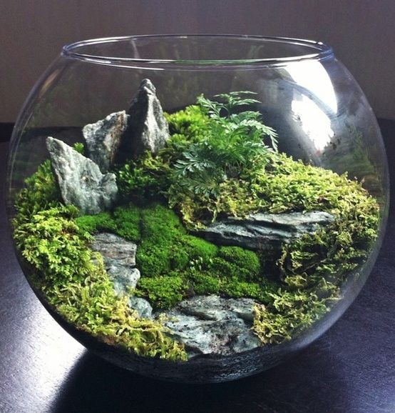 3. Aggiungere pietre è un modo infallibile per costruire un paesaggio in miniatura