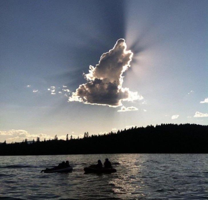 Una nuvola che ricorda la forma perfetta di un lupo che sta ululando