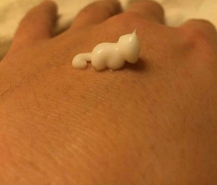 Dieser "Klecks" aus Handcreme sieht aus wie ein winziges Kätzchen!