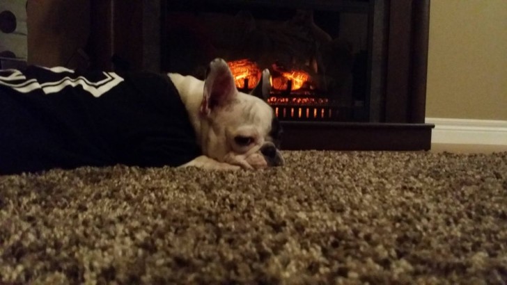 How good it feels to be in front of the fire!