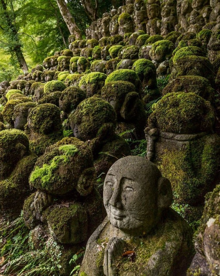 7. Un posto sperduto in Giappone, in cui la Natura sta tornando ad essere la vera ed unica padrona