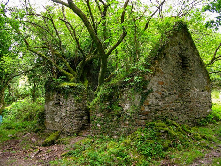 8. Un cottage abandonné en Irlande