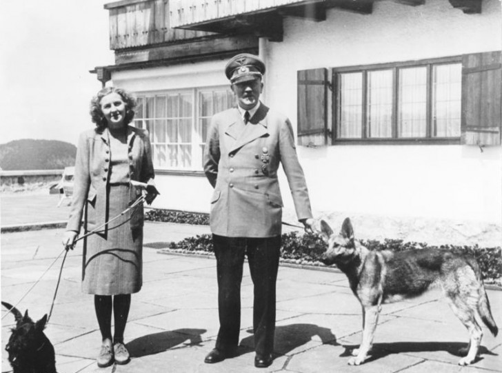 3. Adolf Hitler liebte seinen deutschen Schäferhund "Blondie"
