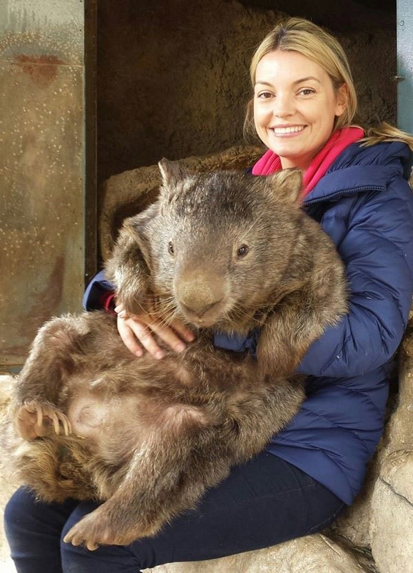 4. Patrick, les wombat de 32 ans, à câliner !