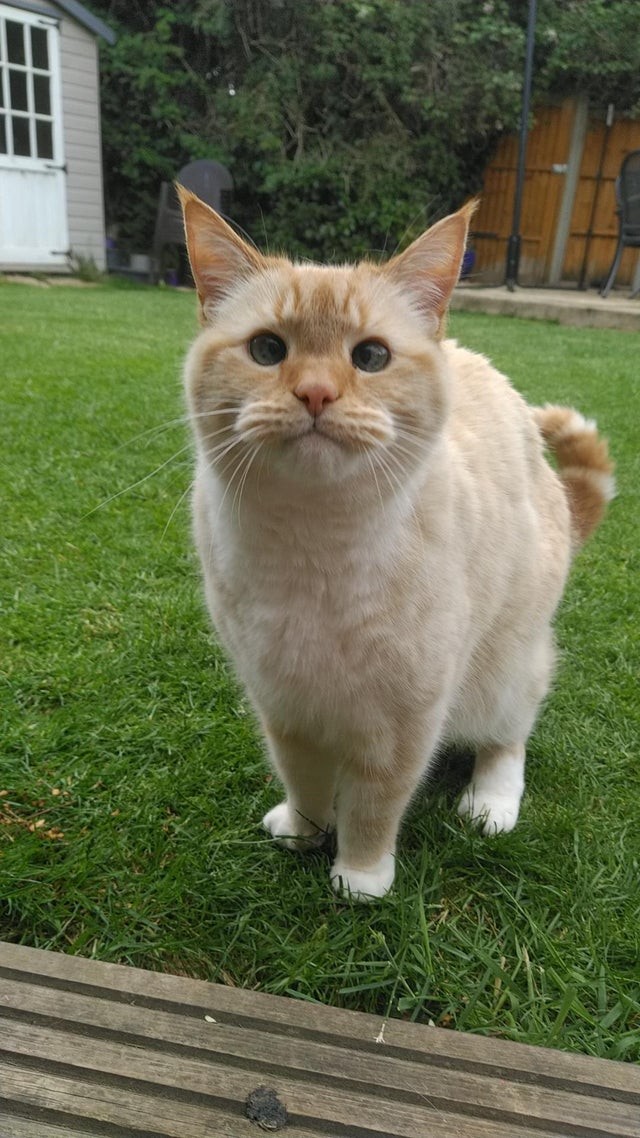 Oh, schaut, was für große Augen!